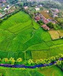 CFP: 2020 Convivium Conference ‘Inhabiting Memories & Landscapes’: a cross-disciplinary engagement with Wendell Berry